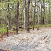 Review photo of Wellfleet Hollow State Park Campground by Jean C., May 30, 2020