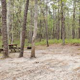 Review photo of Wellfleet Hollow State Park Campground by Jean C., May 30, 2020