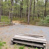 Review photo of Wellfleet Hollow State Park Campground by Jean C., May 30, 2020