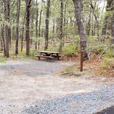 Review photo of Wellfleet Hollow State Park Campground by Jean C., May 30, 2020