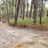 Review photo of Wellfleet Hollow State Park Campground by Jean C., May 30, 2020