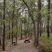 Review photo of Wellfleet Hollow State Park Campground by Jean C., May 30, 2020