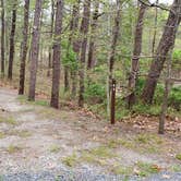 Review photo of Wellfleet Hollow State Park Campground by Jean C., May 30, 2020