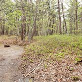 Review photo of Wellfleet Hollow State Park Campground by Jean C., May 30, 2020