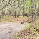 Review photo of Wellfleet Hollow State Park Campground by Jean C., May 30, 2020