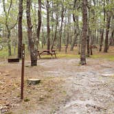 Review photo of Wellfleet Hollow State Park Campground by Jean C., May 30, 2020