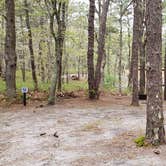 Review photo of Wellfleet Hollow State Park Campground by Jean C., May 30, 2020