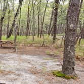 Review photo of Wellfleet Hollow State Park Campground by Jean C., May 30, 2020