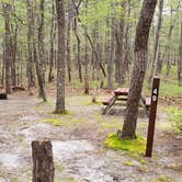 Review photo of Wellfleet Hollow State Park Campground by Jean C., May 30, 2020