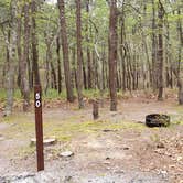 Review photo of Wellfleet Hollow State Park Campground by Jean C., May 30, 2020