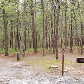 Review photo of Wellfleet Hollow State Park Campground by Jean C., May 30, 2020