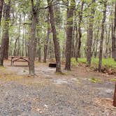 Review photo of Wellfleet Hollow State Park Campground by Jean C., May 30, 2020