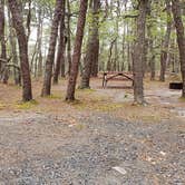 Review photo of Wellfleet Hollow State Park Campground by Jean C., May 30, 2020