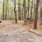 Review photo of Wellfleet Hollow State Park Campground by Jean C., May 30, 2020