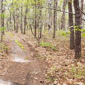 Review photo of Wellfleet Hollow State Park Campground by Jean C., May 30, 2020