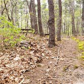 Review photo of Wellfleet Hollow State Park Campground by Jean C., May 30, 2020