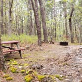 Review photo of Wellfleet Hollow State Park Campground by Jean C., May 30, 2020