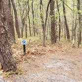 Review photo of Wellfleet Hollow State Park Campground by Jean C., May 30, 2020