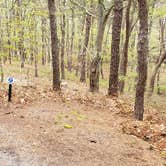 Review photo of Wellfleet Hollow State Park Campground by Jean C., May 30, 2020