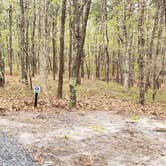 Review photo of Wellfleet Hollow State Park Campground by Jean C., May 30, 2020