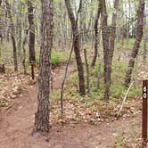 Review photo of Wellfleet Hollow State Park Campground by Jean C., May 30, 2020