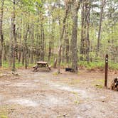 Review photo of Wellfleet Hollow State Park Campground by Jean C., May 30, 2020