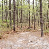 Review photo of Wellfleet Hollow State Park Campground by Jean C., May 30, 2020