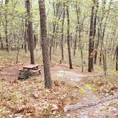 Review photo of Wellfleet Hollow State Park Campground by Jean C., May 30, 2020