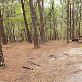 Review photo of Wellfleet Hollow State Park Campground by Jean C., May 30, 2020