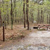 Review photo of Wellfleet Hollow State Park Campground by Jean C., May 30, 2020