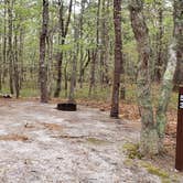 Review photo of Wellfleet Hollow State Park Campground by Jean C., May 30, 2020