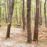 Review photo of Wellfleet Hollow State Park Campground by Jean C., May 30, 2020