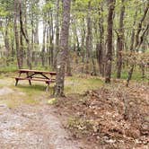 Review photo of Wellfleet Hollow State Park Campground by Jean C., May 30, 2020