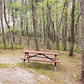 Review photo of Wellfleet Hollow State Park Campground by Jean C., May 30, 2020