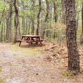 Review photo of Wellfleet Hollow State Park Campground by Jean C., May 30, 2020