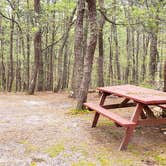 Review photo of Wellfleet Hollow State Park Campground by Jean C., May 30, 2020