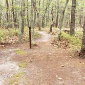 Review photo of Wellfleet Hollow State Park Campground by Jean C., May 30, 2020