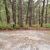 Review photo of Wellfleet Hollow State Park Campground by Jean C., May 30, 2020