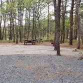 Review photo of Wellfleet Hollow State Park Campground by Jean C., May 30, 2020