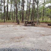 Review photo of Wellfleet Hollow State Park Campground by Jean C., May 30, 2020