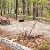 Review photo of Wellfleet Hollow State Park Campground by Jean C., May 30, 2020