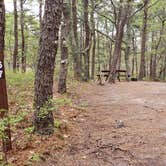 Review photo of Wellfleet Hollow State Park Campground by Jean C., May 30, 2020