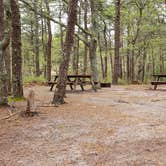 Review photo of Wellfleet Hollow State Park Campground by Jean C., May 30, 2020