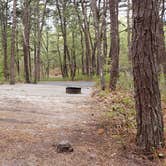 Review photo of Wellfleet Hollow State Park Campground by Jean C., May 30, 2020