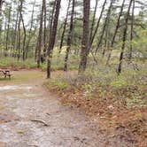 Review photo of Wellfleet Hollow State Park Campground by Jean C., May 30, 2020