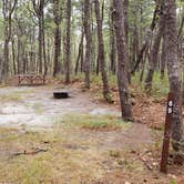 Review photo of Wellfleet Hollow State Park Campground by Jean C., May 30, 2020