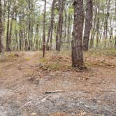 Review photo of Wellfleet Hollow State Park Campground by Jean C., May 30, 2020