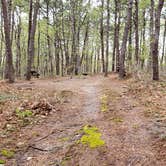 Review photo of Wellfleet Hollow State Park Campground by Jean C., May 30, 2020