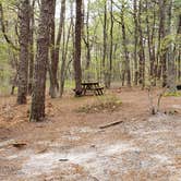 Review photo of Wellfleet Hollow State Park Campground by Jean C., May 30, 2020