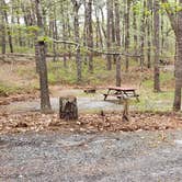 Review photo of Wellfleet Hollow State Park Campground by Jean C., May 30, 2020